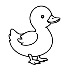 coloring book, duck, bird, cartoon, animal, vector, yellow, illustration, baby, duckling, chicken, rubber, fun, isolated, beak, cute, water, toy, chick, easter, funny, egg, bath, ducky, farm, nature, 