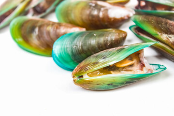 close up of raw green mussels on white background