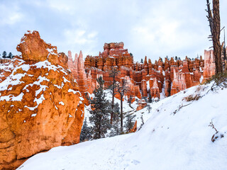 Snow scene colorful cliffs with red rock and stone in Bryce Canyon National Park