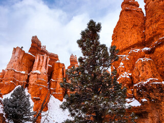 Snow scene colorful cliffs with red rock and stone in Bryce Canyon National Park