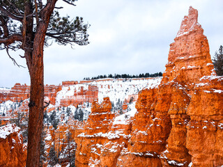 Snow scene colorful cliffs with red rock and stone in Bryce Canyon National Park