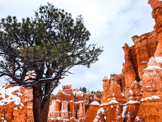 Snow scene colorful cliffs with red rock and stone in Bryce Canyon National Park