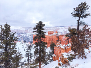 Snow scene colorful cliffs with red rock and stone in Bryce Canyon National Park