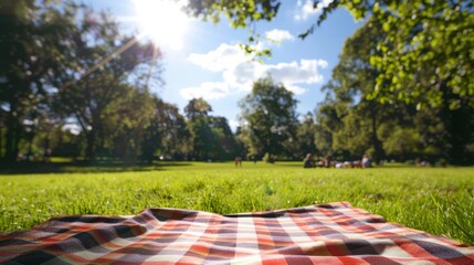 Sunlit park picnic setup with checkered blanket and food spread