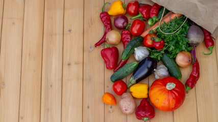 fresh vegetables and paper bag on wooden background. Selective focus