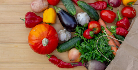 fresh vegetables and paper bag on wooden background. Selective focus