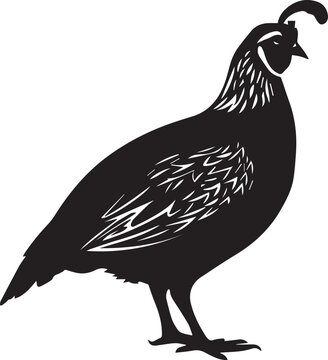 recommend clip art: Quail vector black silhouette design for T-Shirt