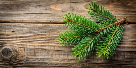 Naklejka premium Spruce branch resting on rustic wooden background