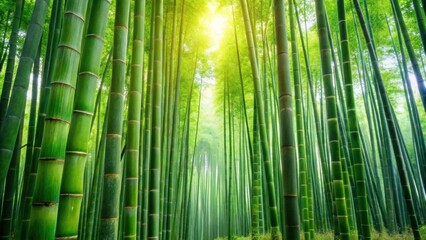 Fototapeta premium Lush green bamboo forest with tall stalks creating a serene and peaceful natural background, Bamboo, Forest, Green, Nature