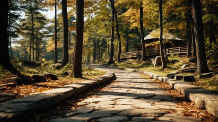 beautiful wooden pathway going the breathtaking