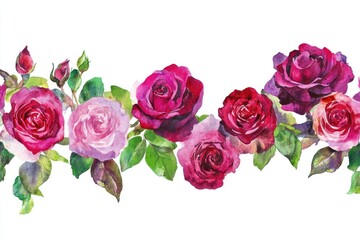 Fototapeta premium This artwork displays an elegant arrangement of roses in various shades, set against a clean white background, emphasizing their beauty and artistry
