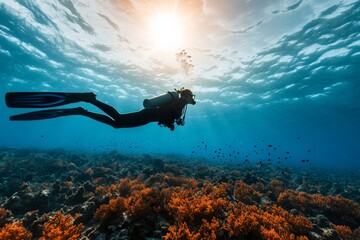 A scuba diver swimming above a vibrant coral reef in the clear blue waters, illuminated by sunlight from above, depicting the harmony and beauty of the marine ecosystem.