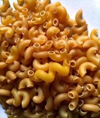 Elbow macroni with white background 