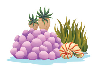 Coral with starfish and seaweed, accompanied by seashells in an underwater composition. Vector cartoon illustration