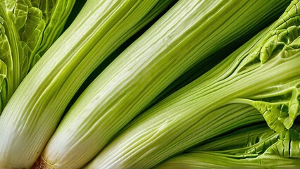 Fototapeta premium Close-up of fresh green celery stalks.