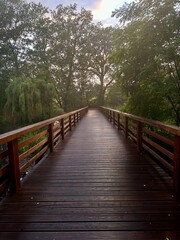 wooden bridge in the woods