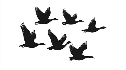 Obraz premium Flowing geese silhouettes in V formation. Migrating geese silhouettes.