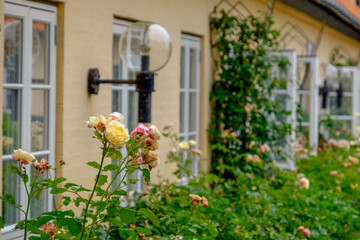 svaneke auf  Bornholm