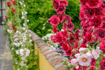 Svaneke auf der Insel Bonholm in Dänemark