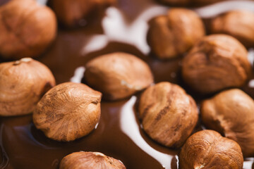 Close-up hazelnuts in melted dark chocolate