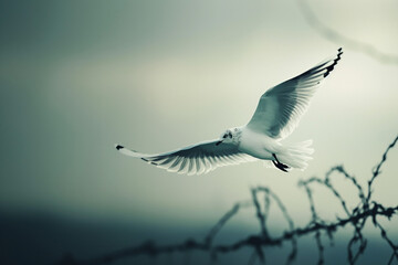 Freedom Concept with Bird and Barbed Wire. Symbolic Representation of Liberty and Constraint. Generative AI