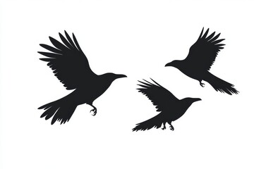 Obraz premium Flock of flying crows, a transparent background with isolated cutout objects.