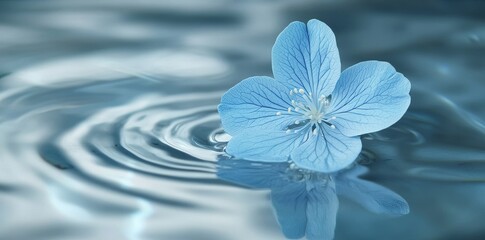 We create soothing motion graphics featuring uplifting quotes from positive psychology for mental well-being. Concept Motion Graphics, Positive Psychology Quotes, Uplifting Messages, Mental