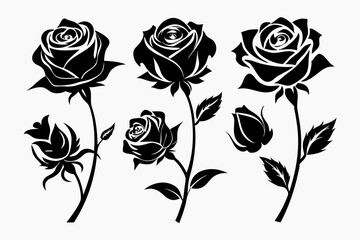 Rose silhouette set of decorative leaves. Flower vector illustration