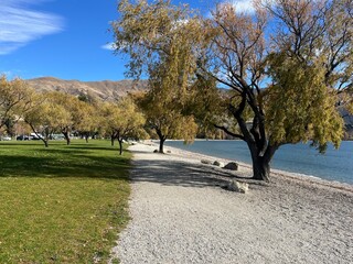 Wanaka, South Island of New Zealand	