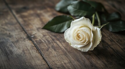 Naklejka premium A solitary white rose lies on a wooden table, its simplicity and purity evoking a sense of peace and remembrance.