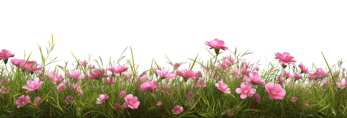 pink spring flowers