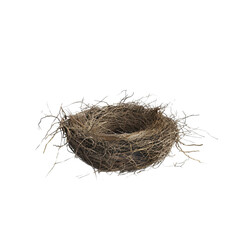 Empty Bird Nest