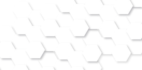 Background with white lines hexagon. Abstract vector polygonal pattern background with hexagon. White hexagon light and shadow abstract background. Futuristic abstract honeycomb technology background.