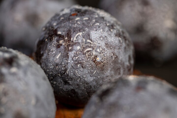 close-up of purple plum fruits in drops of water