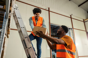 Multicultural colleagues arranging box on shelf at warehouse.