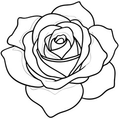 Rose silhouette with leaves. Flower vector illustration on white background