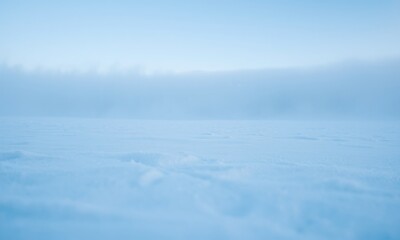 snowy landscape, gentle snowfall, serene winter scene, soft blue sky