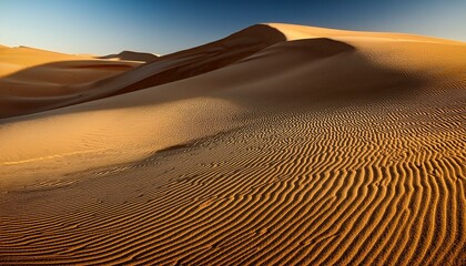 Nature&rsquo;s patterns in sand
