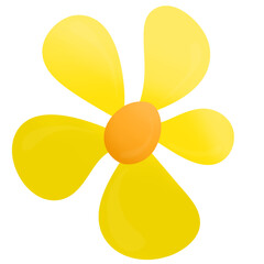 yellow flower isolated on white