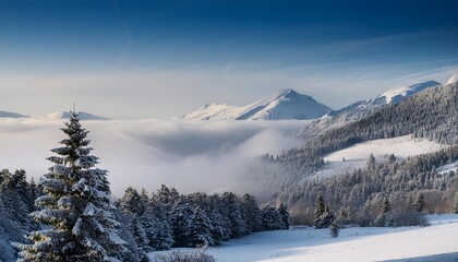 Snow-dusted landscape with fog