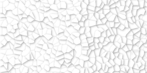 Abstract vector design 3d digital background white broken glass effect wall crack broken wall. Random lines decay grungy texture desolate distressed plates