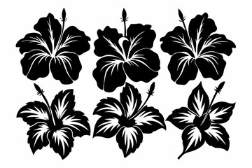 Hibiscuses silhouette set of decorative leaves. Flower vector illustration