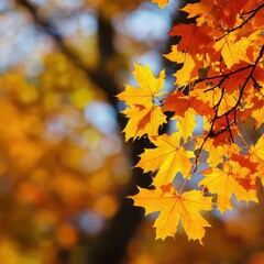 Fototapeta premium Sunlit Autumn Foliage Against Bright Blue Sky: Uplifting and Inspiring Background for Positive and Vibrant Seasonal Displays