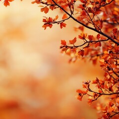 Fototapeta premium Misty Autumn Morning in the Forest: Mystical and Atmospheric Background for Spooky and Tranquil Themes