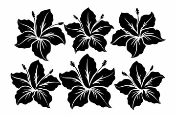 Hibiscuses silhouette set of decorative leaves. Flower vector illustration