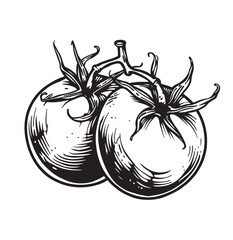 Tomato Black White Vectors and Illustrations isolated on white background