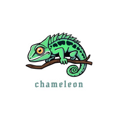 chameleon mascot logo cartoon illustration. Adobe Illustrator Artwork