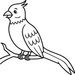 Fototapeta premium A lone cuckoo rests peacefully on a branch surrounded by lush green leaves and calm nature 