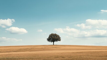 Obraz premium A lone tree standing tall in a vast field, representing resilience and the strength of Earth's natural life