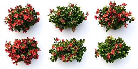 Bright and Colorful Shrubs in a Digital Illustration